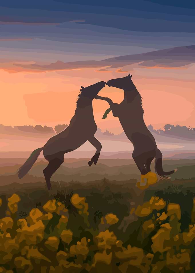 horse