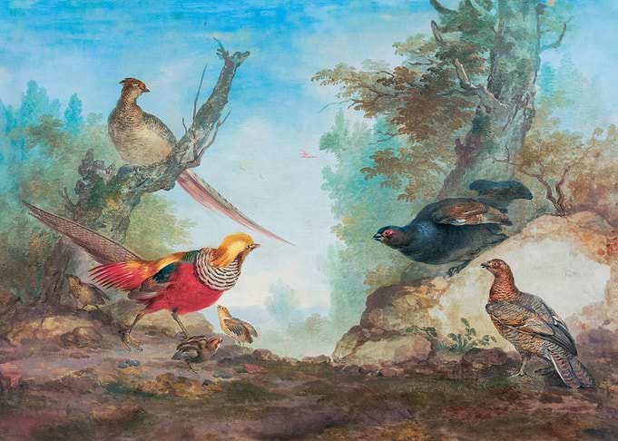 Pheasants