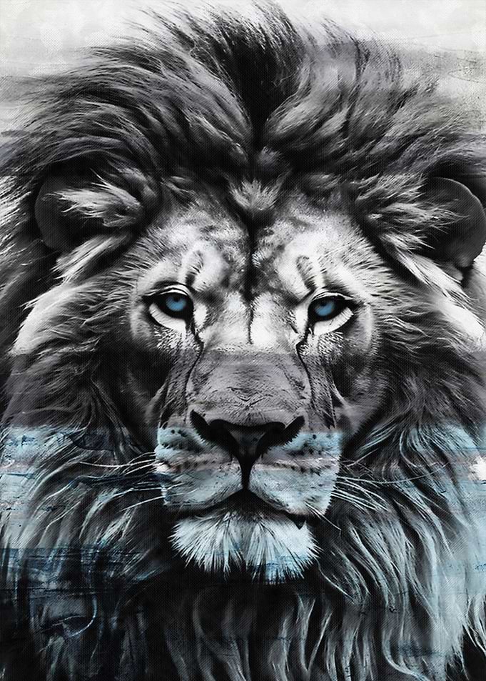 Abstract Lion blue eyes