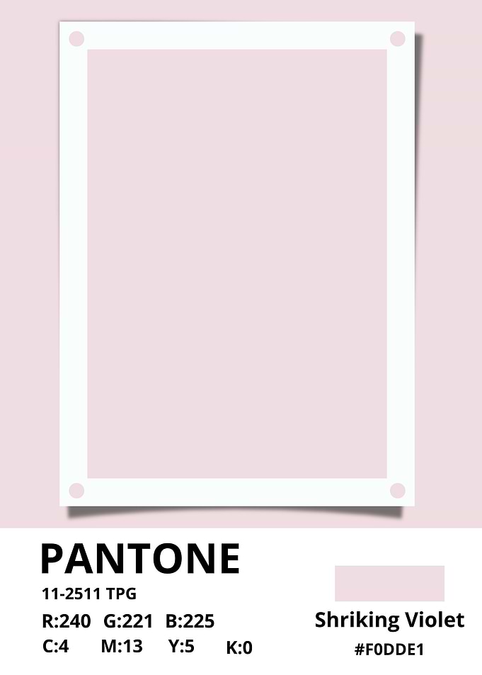 PANTONE Shriking violet