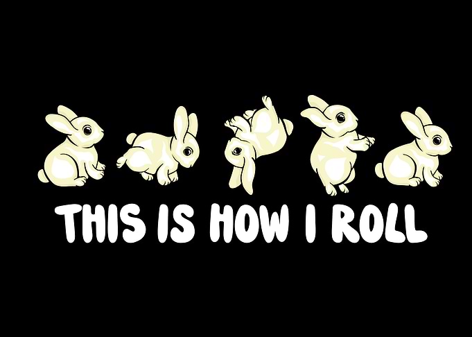 Rabbit Lover Cute Bunny
