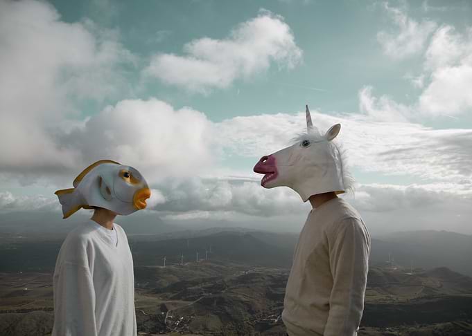 Fish and Unicorn