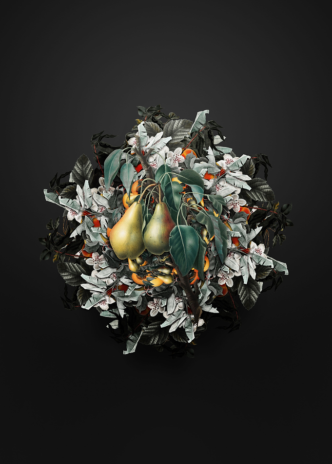 Apple Fruit Wreath
