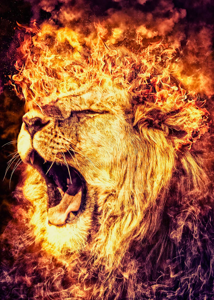 Fiery Roaring Lion
