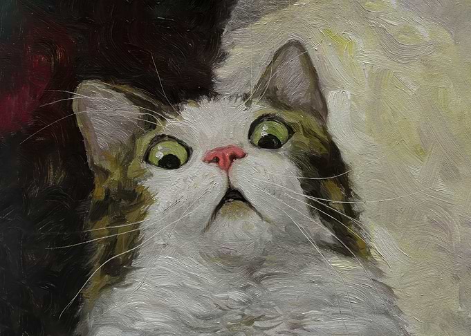 cat meme scared painting