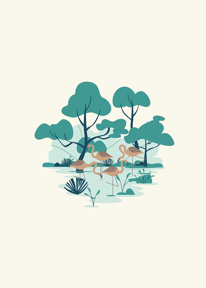 Family flamingos