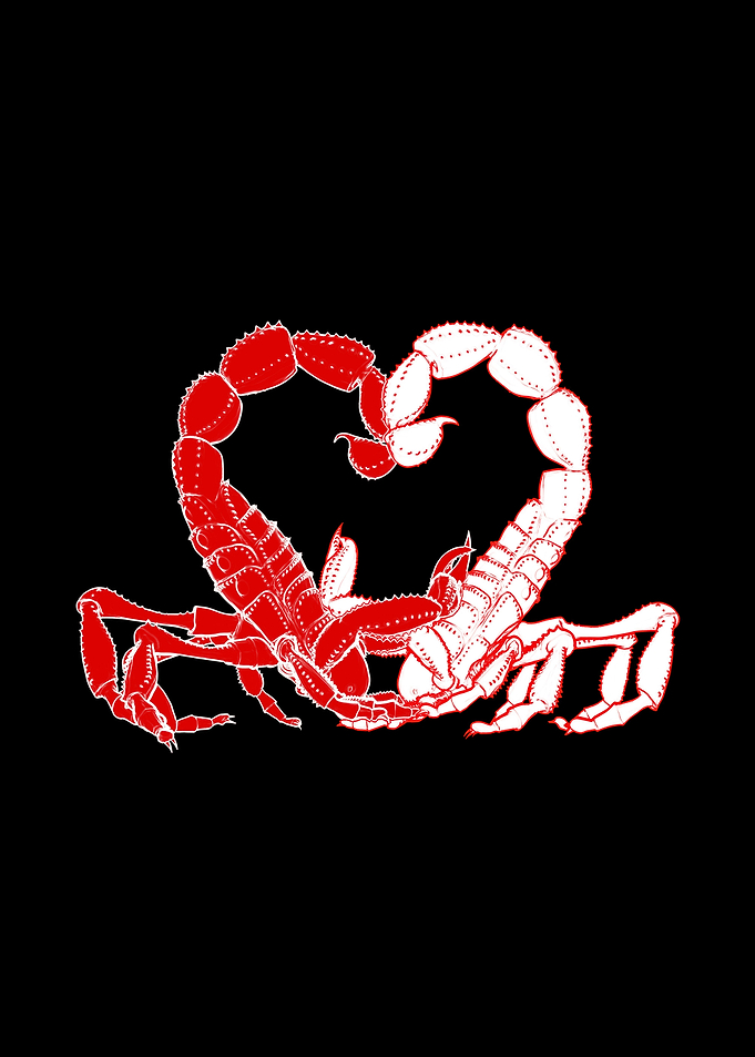 Scorpion Valentine