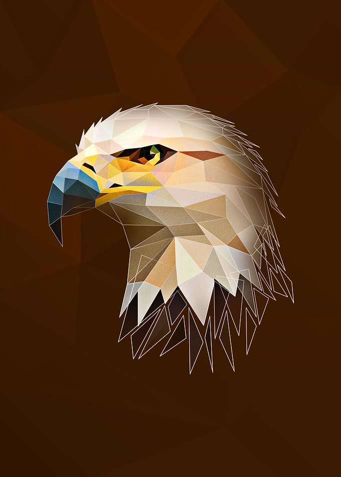 Low Poly Eagle