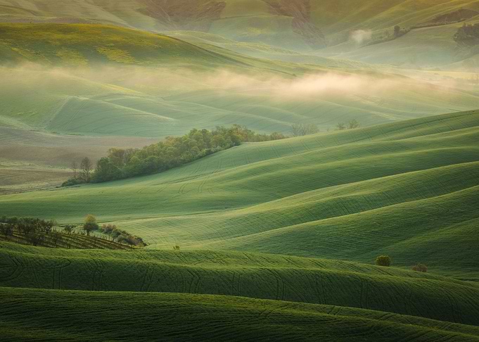 Field italy toscany spring