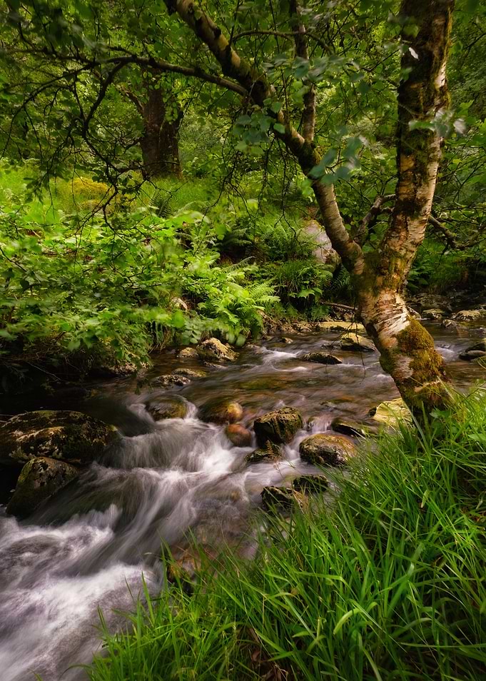 Glendalough Creeks