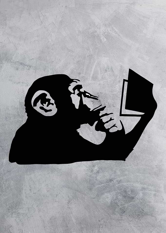 monkey reading the book