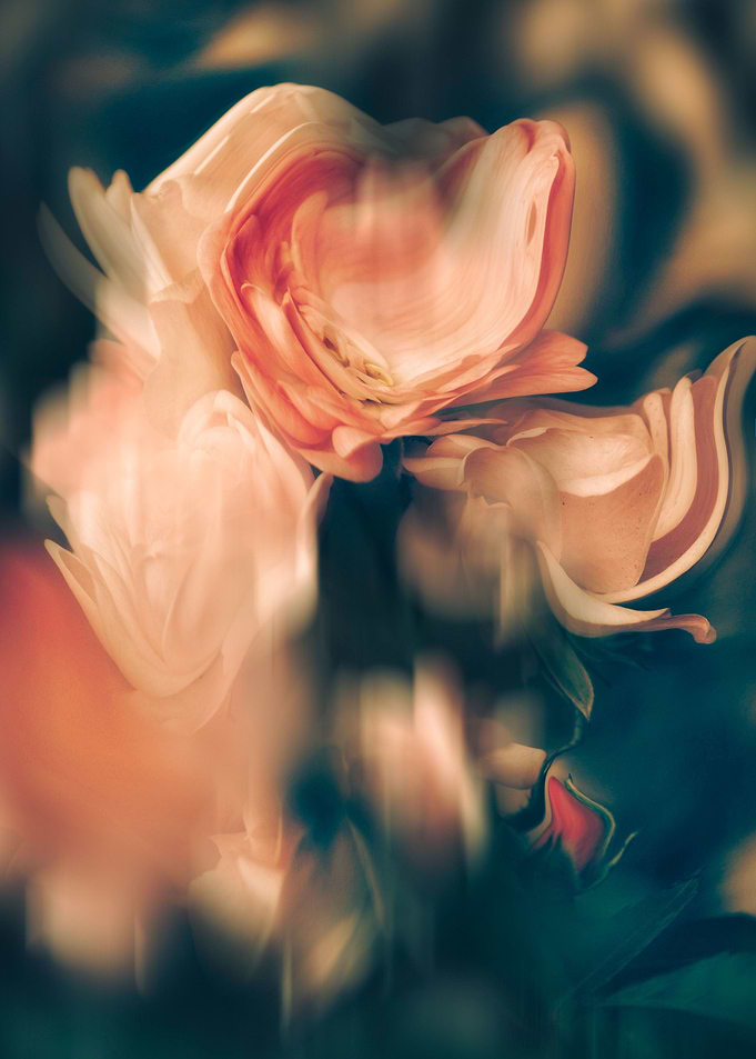 Abstract bouquet