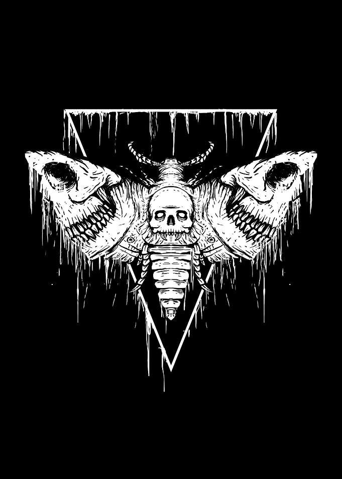 Skull Moth
