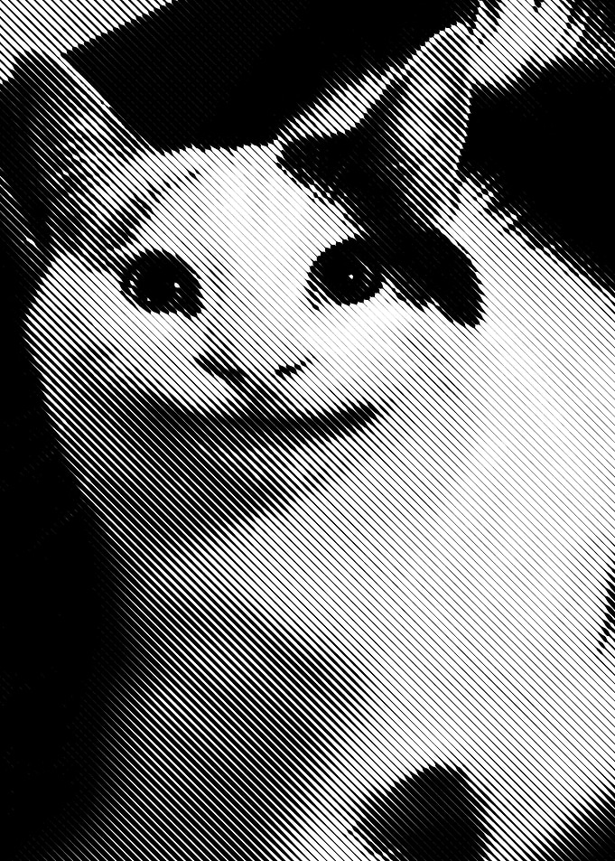 polite cat