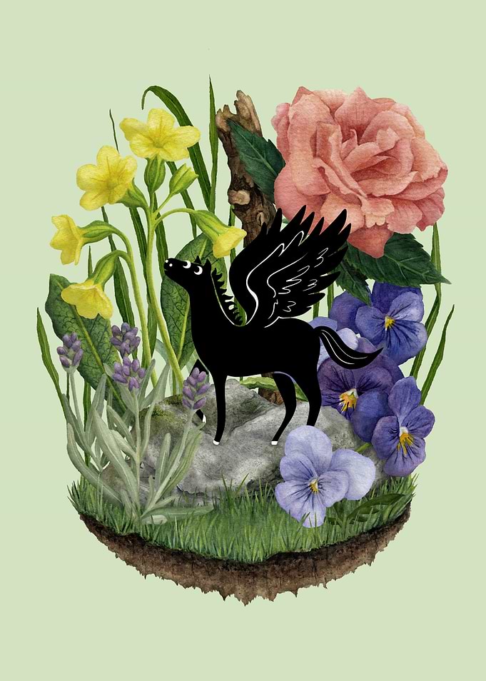 Tiny Pegasus