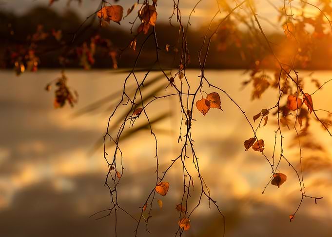 Autumn impresion