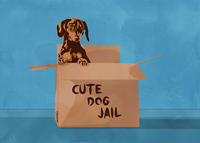 Cute dog in carboard box