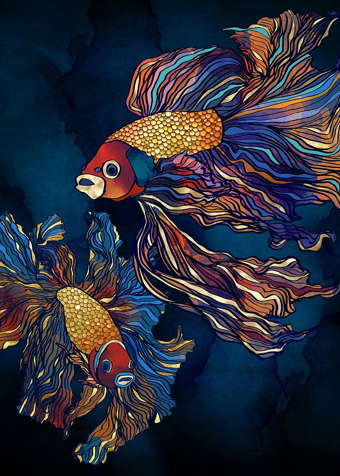 Metallic Betta Fish