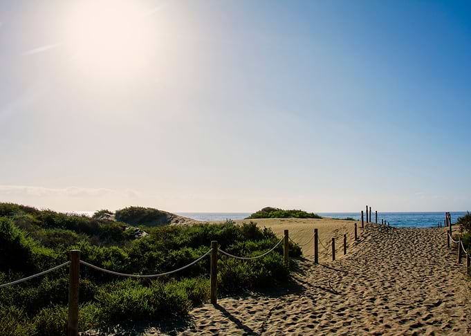 The way to the sea