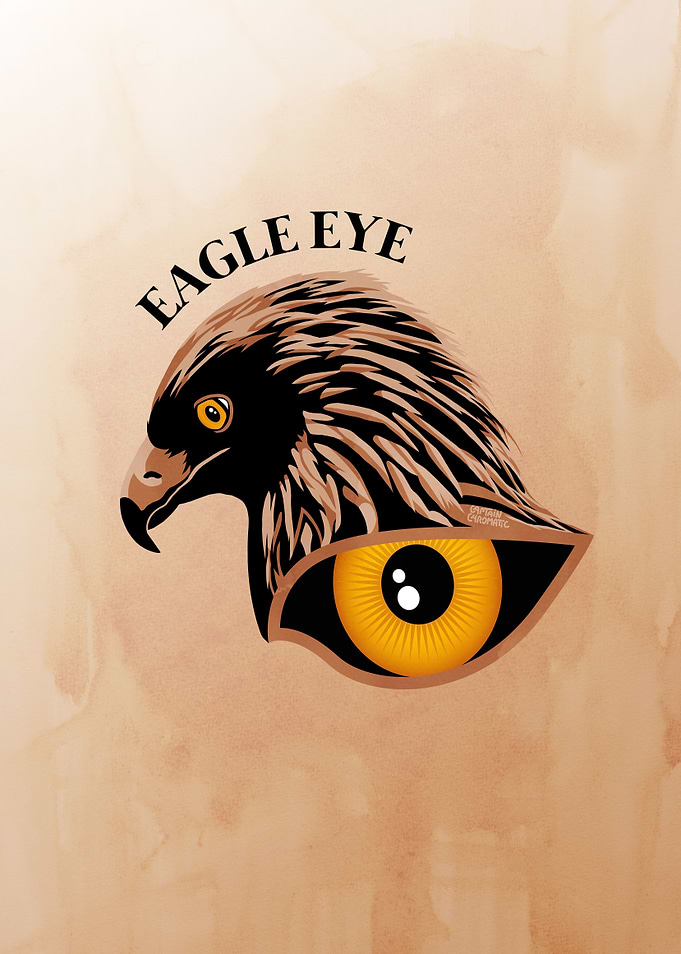 Eagle eye