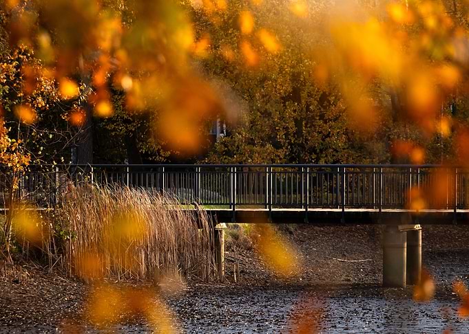 Autumn morning