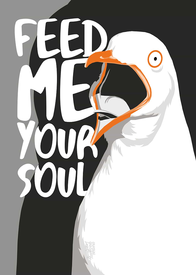 Black and white seagull