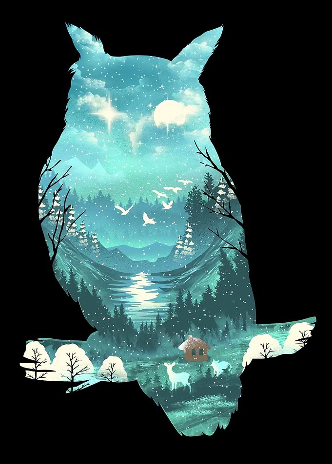 Winter Owl