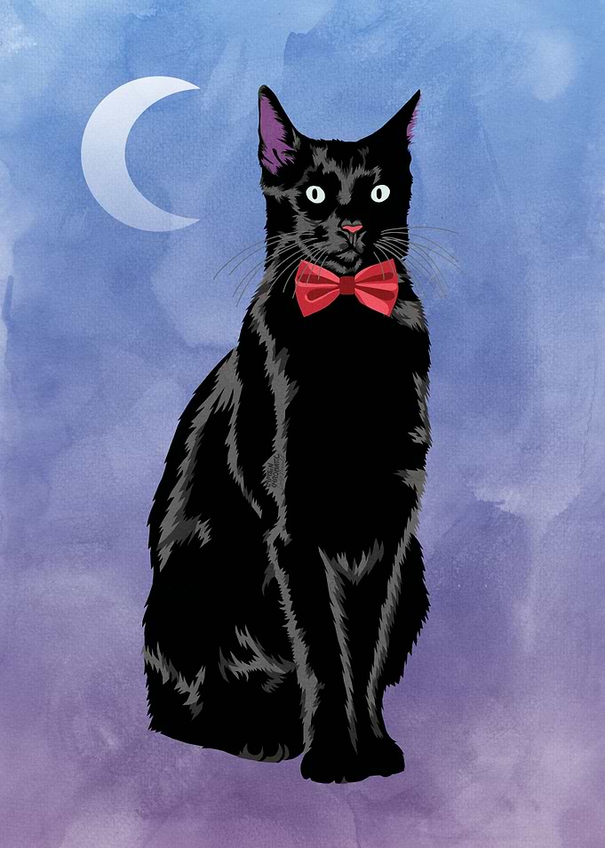 Cat with bow tie
