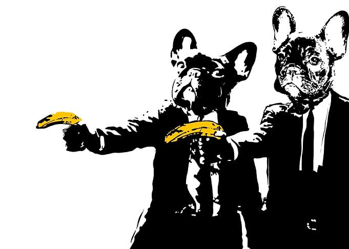 french bulldog ilustration