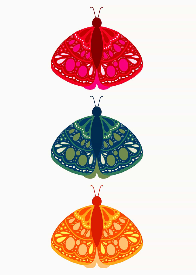 Color butterfly