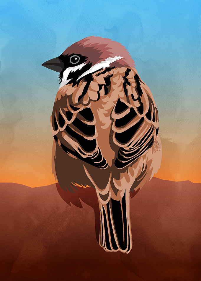 Eurasian tree sparrow
