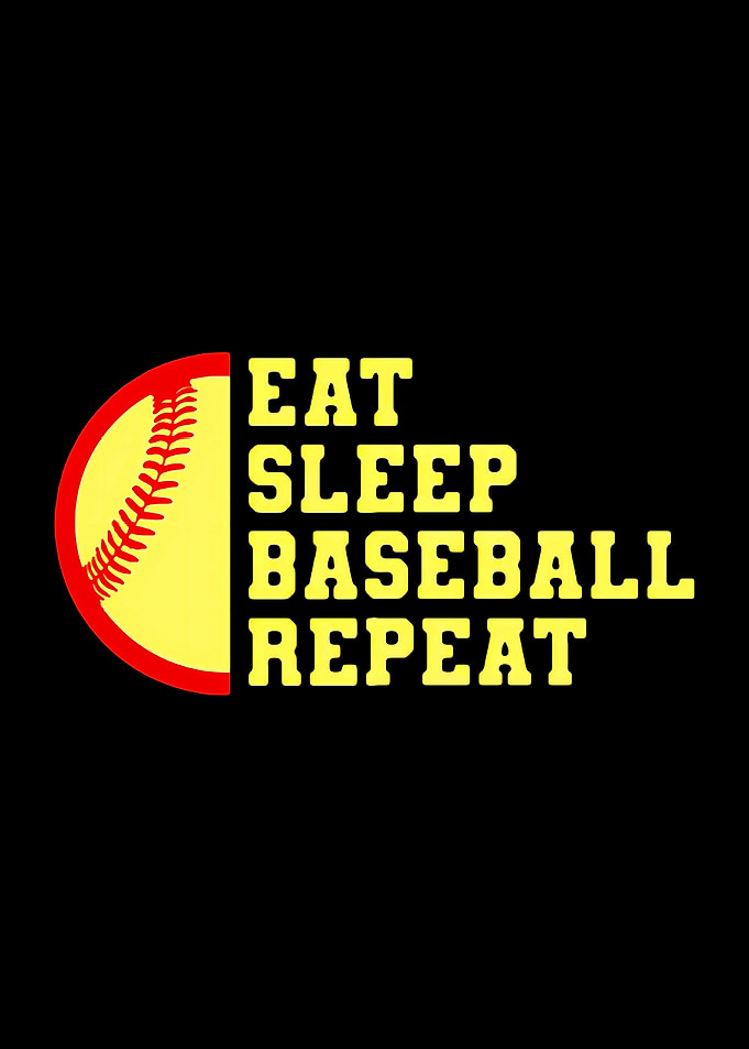 Baseball Fan