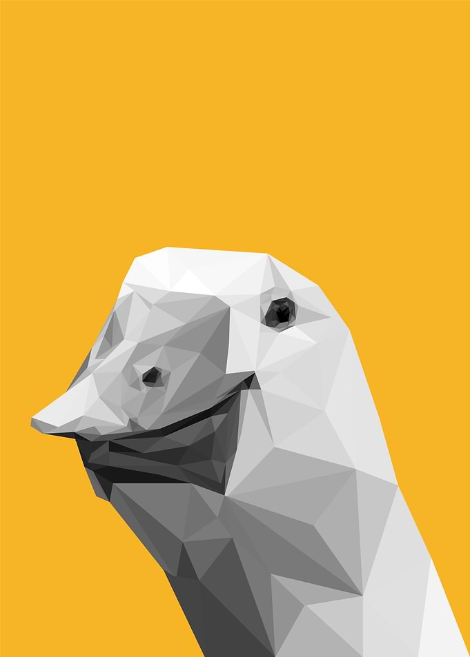 honk honk