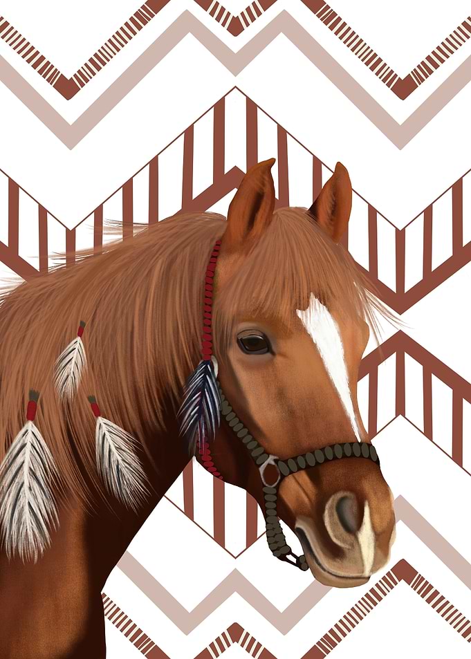 Native American Horse