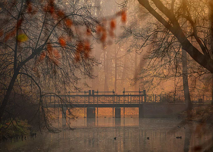 Foggy morning