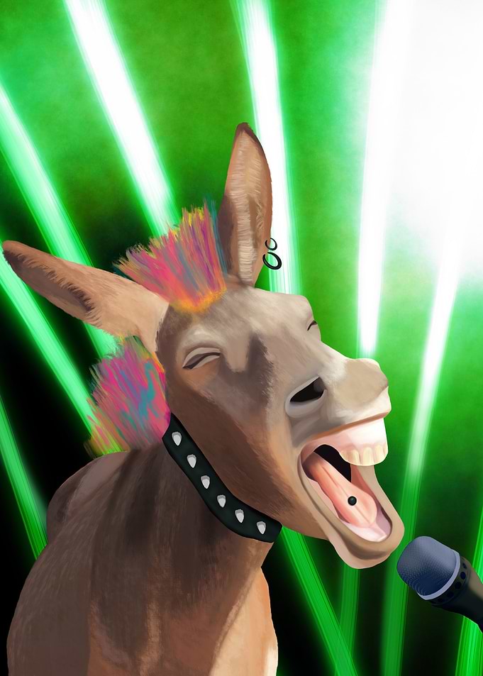Cool Rock star Donkey