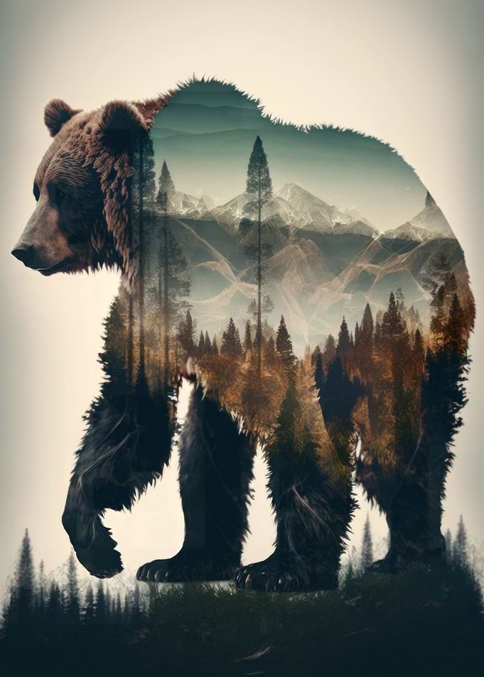 Bear