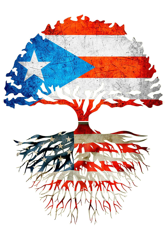 Puertorican grown tree
