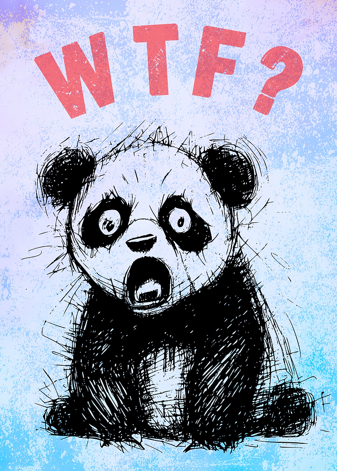 Funny Panda Bear WTF