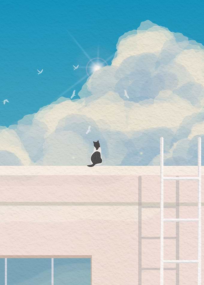 Cat on the roof