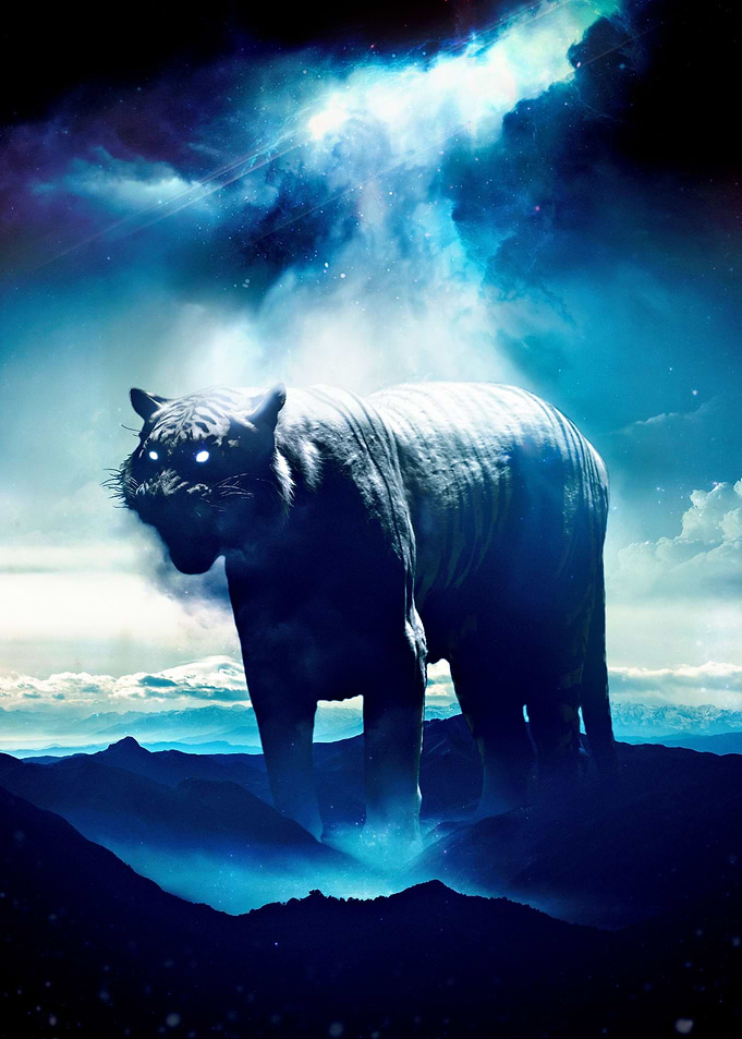 The Tiger come at night