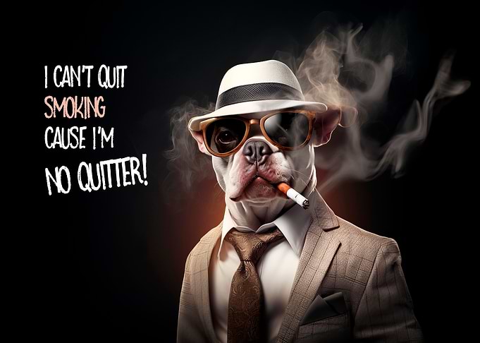 WITTY DOG No Quitter