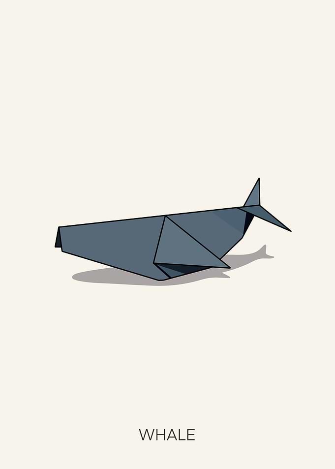 Whale