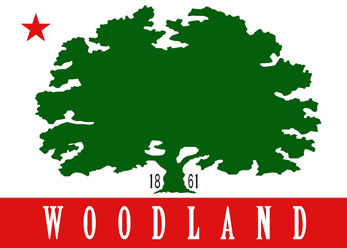 Woodland City California