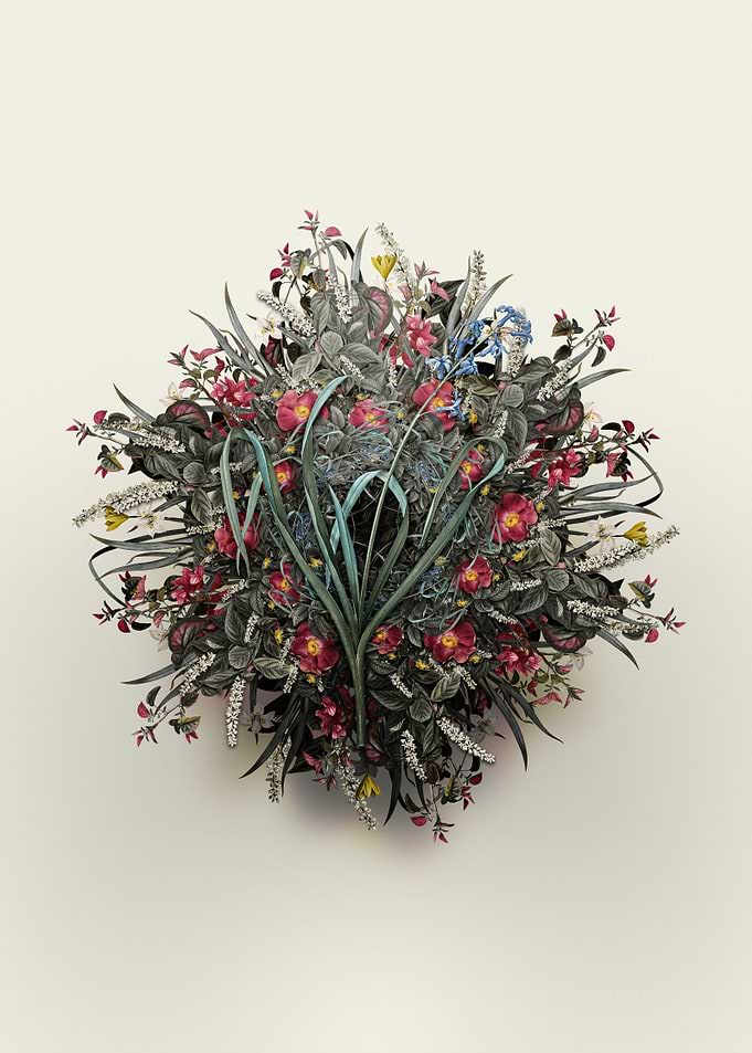 Dutch Hyacinth Wreath