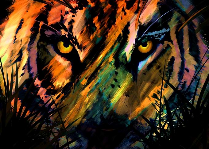 Tiger jungle