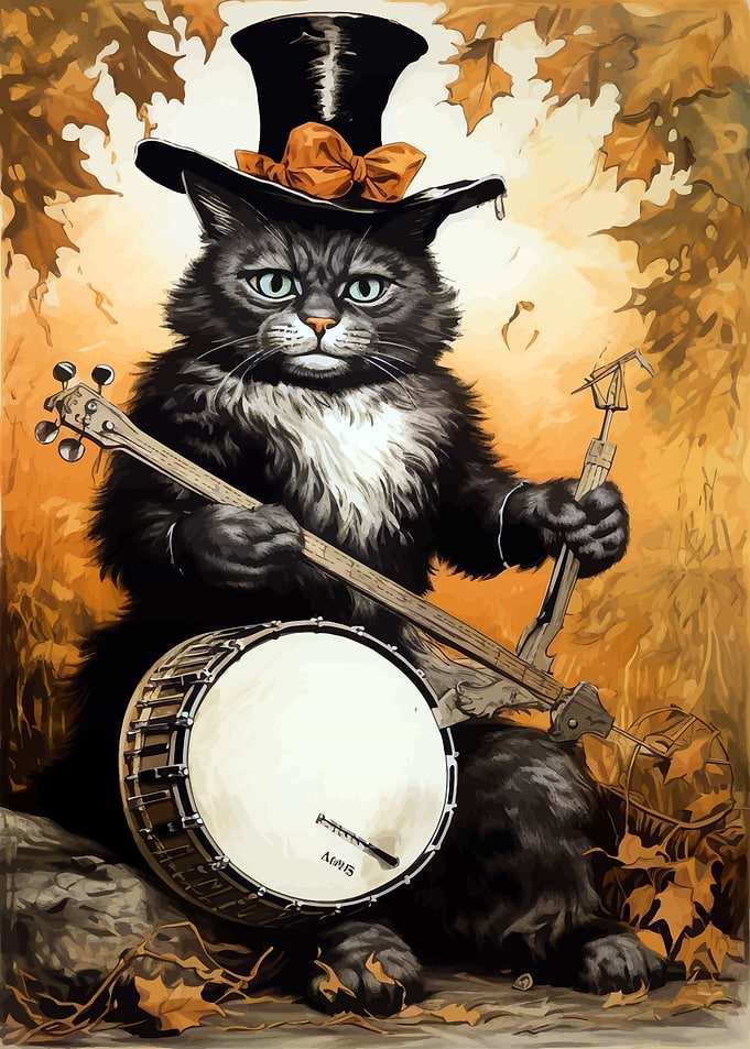 Black Cat Musician