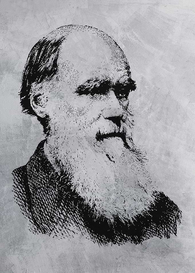 darwin stencil art
