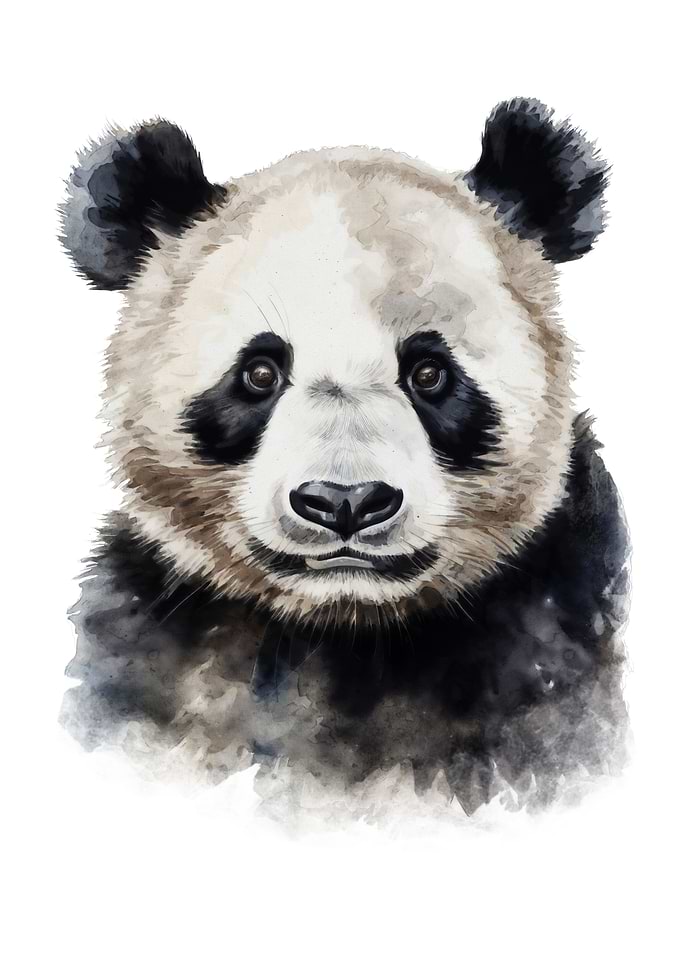 Panda Bear Watercolor Art