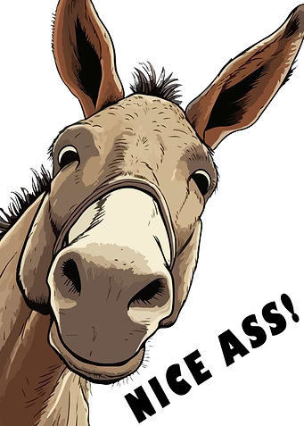 funny donkey toilet poster